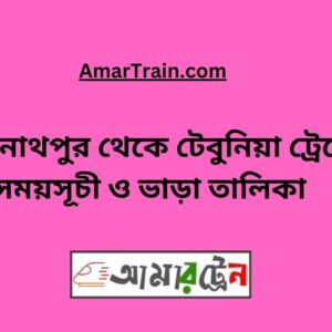 Kashinathpur to Tebunia Train Schedule With Ticket Price