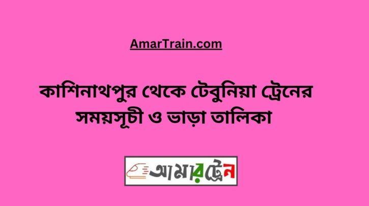 Kashinathpur to Tebunia Train Schedule With Ticket Price